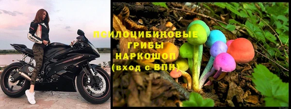 альфа пвп Саяногорск